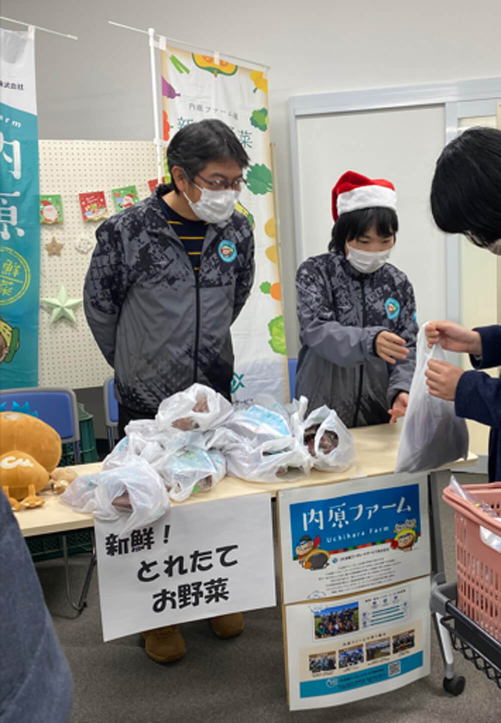 Free Food Distribution Event