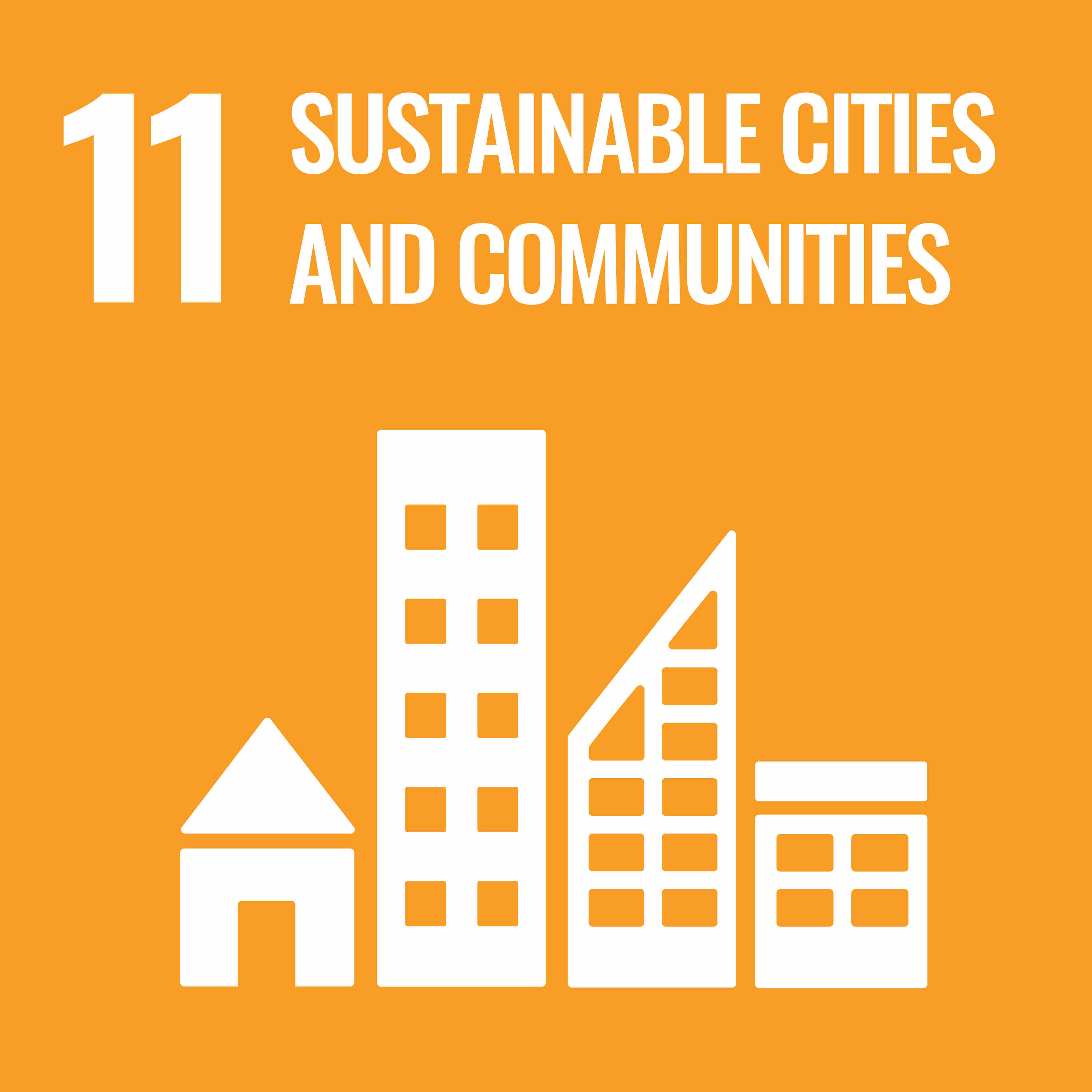 sdg-icon11