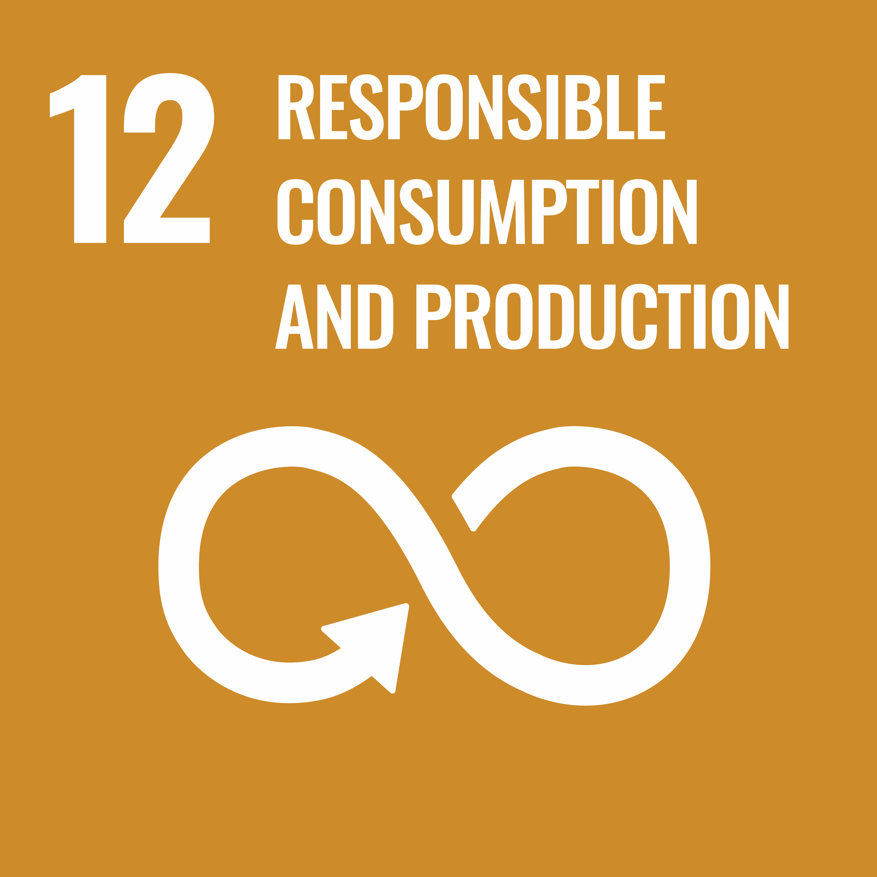 sdg-icon12
