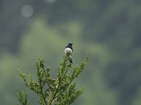 画像4.jpg