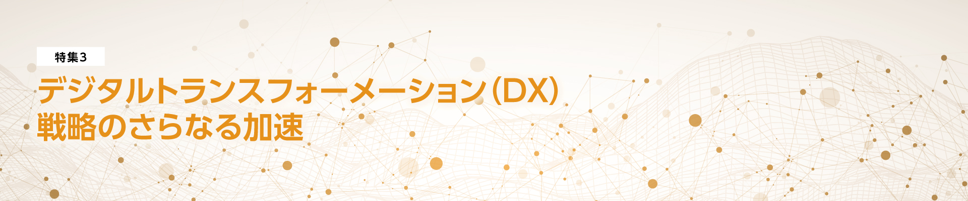 特集3　デジタルトランスフォーメーション（DX）戦略のさらなる加速