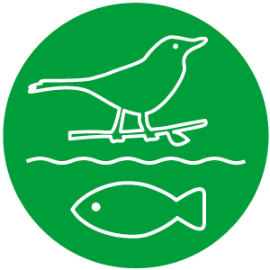 生物多様性の保全